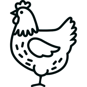 Dibujo Fácil de Gallina simple