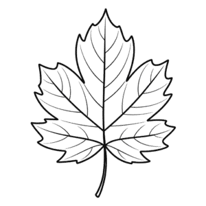 Dibujo Fácil de Hoja de Otoño