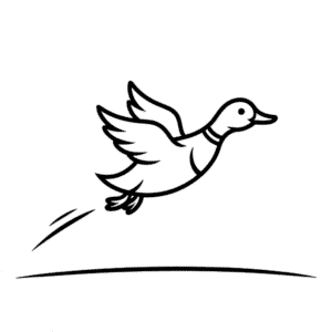 Dibujo Fácil de Pato Volador