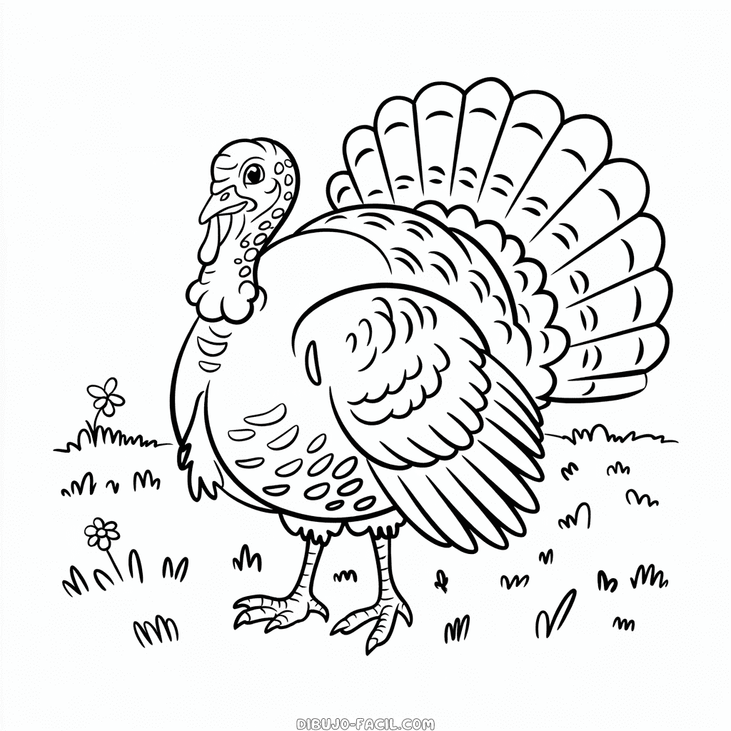 Dibujo Fácil de Pavo libre